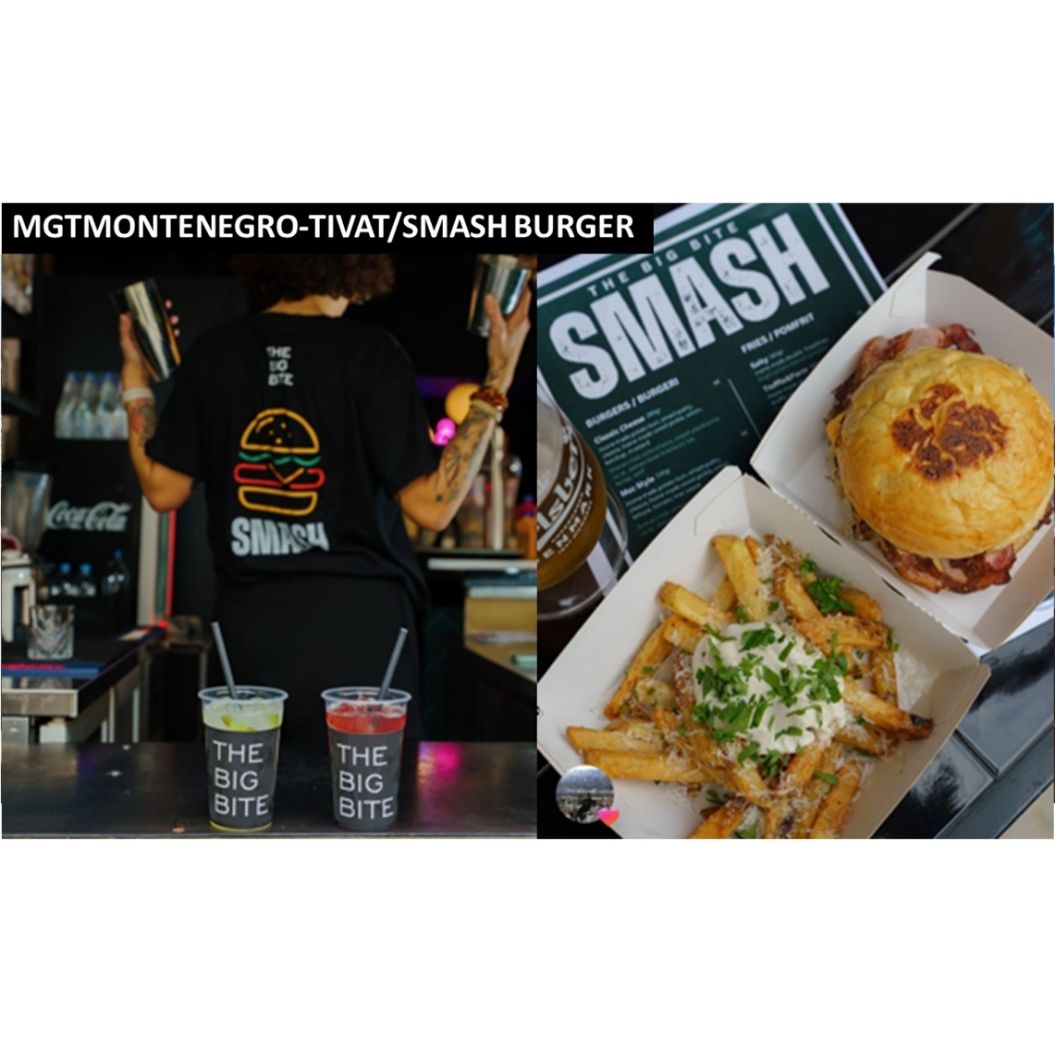 Real Estate/ Land Investment (3789 m²) for Development of Sea View Villas, with pool and 2 car garaj, 2 or 3 Bedroom types, 2.5 Bathrooms in partnership with MGTMontenegro a Local Company with Architectural/Construction and Commercial Marketing/Business Expertise.